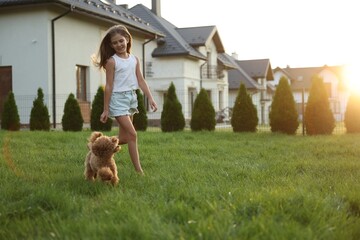 Beautiful girl walking with cute Maltipoo dog on green lawn at sunset in backyard