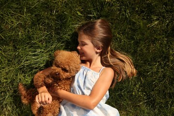 Beautiful girl with cute Maltipoo dog on green lawn outdoors, top view