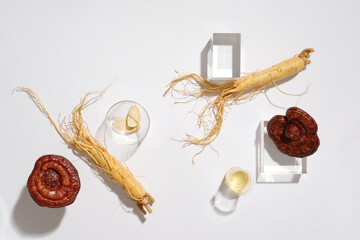 Modern concept for advertising and branding cosmetic with ginseng and lingzhi mushroom on white...