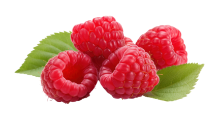 Raspberry on the transparent background