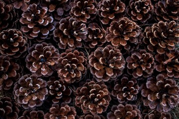 coffee beans background, cones 