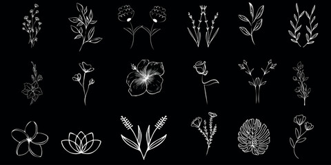 Hand-drawn, floral vector illustration, white flowers, leaves on black background. Featuring roses, lilies, tulips, daisies, peonies, wildflowers, ferns, foliage. Vintage, retro, antique feel. Perfect