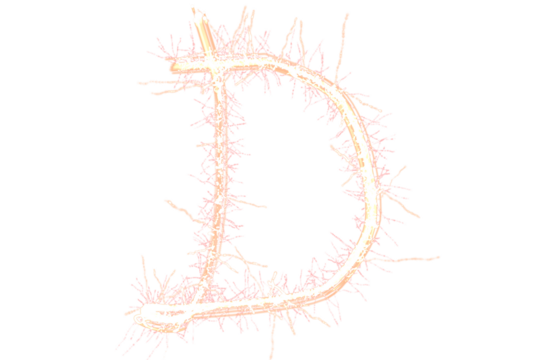 Digital png illustration of shiny sparkle d letter on transparent background