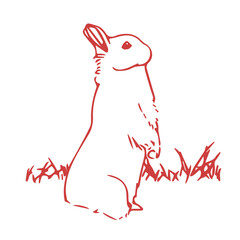 Fototapeta premium Digital png illustration of red bunny standing on transparent background
