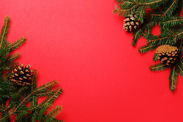Bright New Year background with fir branches