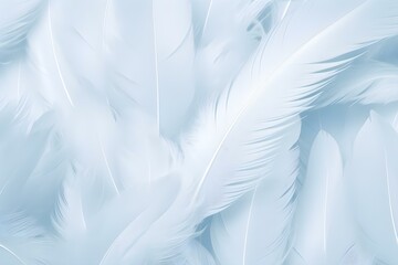 Beautiful White Baby Blue Colors Pastel Tone Feather Pattern Texture Cool Background for Decorative Design Wallpaper and Other.