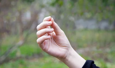Fotobehang Hand holding a small mustard seed © Marina