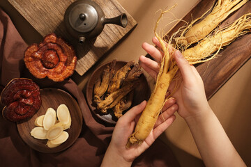 Scene for advertising traditional Chinese medicine. Hands of woman holding a ginseng root,...