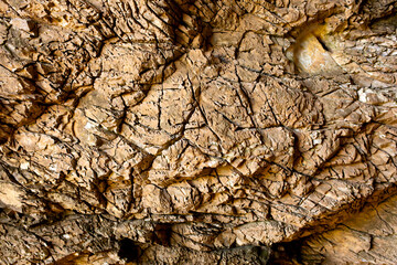 Natural rock texture background. Rocky bas-relief wall.