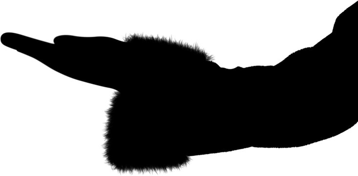Digital png silhouette of hand of woman in santa clothes on transparent background