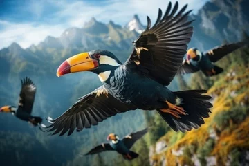 Cercles muraux Toucan A group of Colorful hornbill bird flying in sky above forest mountain