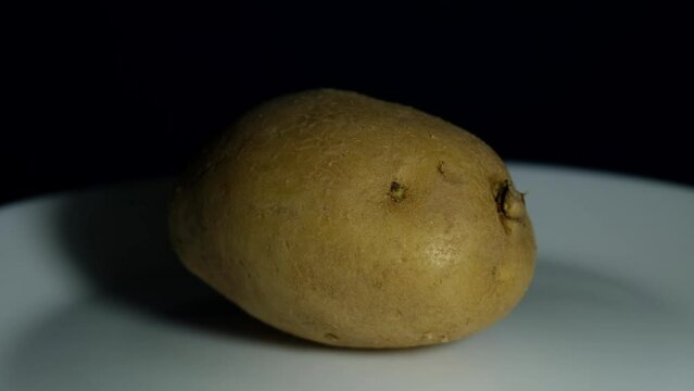 Potato on a plate casting shadow to the left while on a plate as the amera zooms out.