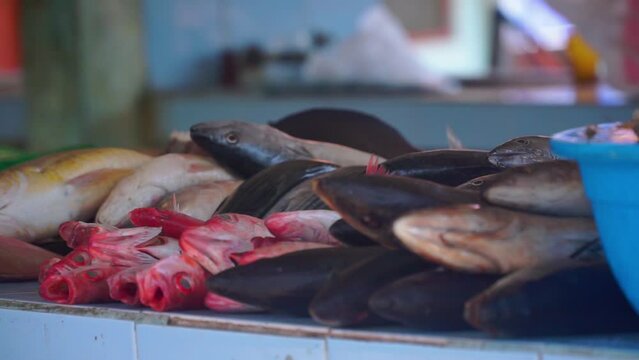 Various fresh fish on the table for sale at fish market - Indonesia