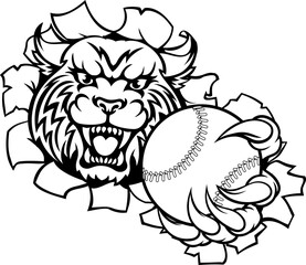 A wildcat bobcat cat cougar animal sports mascot holding baseball or softball ball breaking through the background with its claws