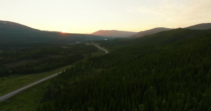 Densely Fir Forest On The E6 Thoroughfare With Midnight Sun Horizon In Norway, Europe. Aerial Shot 
