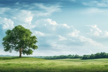 Fototapeta na wymiar Blurred Sky Background With Green Field And Trees