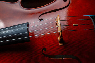 Violin strings clos e up