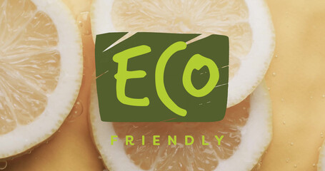 Composite of eco friendly text over fresh fruit in water with copy space