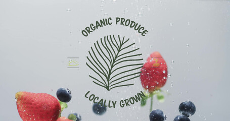 Composite of organic produce text over fresh fruit in water with copy space