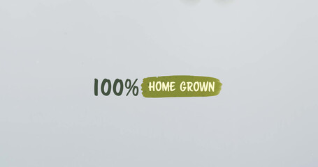 Composite of 100 percent home grown text over grey background with copy space
