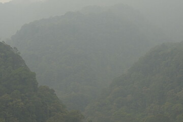 fog in the mountains