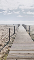 Wooden path on the beach to reach the sea.