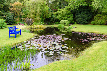 Blue wooden garden bench beside a garden pond with waterlillies in an idyllic environment.