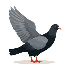 Pigeon bird isolated on white background. Cartoon style. Vector illustration.