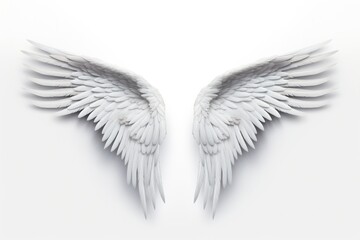 White Angel Wings On A White Background