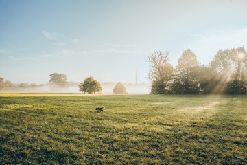 Autumn sunny sunrise over field. Scenic autumn morning on field with fog. Fall panoramic landscape.