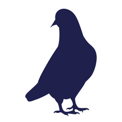 silhouette of a dove on a white background vector
