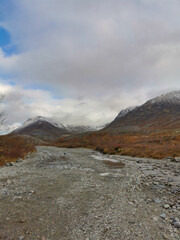 Autumn Arctic landscape in the Khibiny mountains. Kirovsk, Kola Peninsula, Polar Russia. Autumn colorful forest in the Arctic, Mountain hikes and adventures.