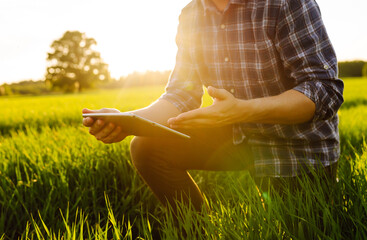 Young farmer with a modern tablet on a green wheat field. An experienced agronomist with a tablet...