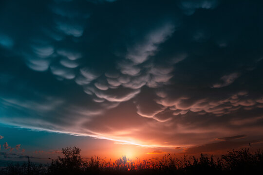 Mammatus clouds in a dramatic sunset sky. Cumulus clouds before an evening thunderstorm.