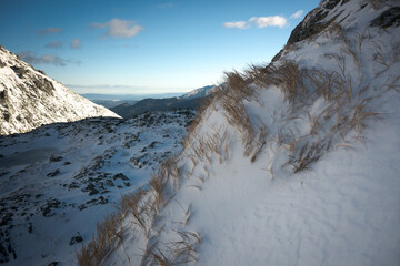 Śnieżna wydma w Tatrach Wysokich. Trawy obsypane śniegiem przypominające nadmorskie wydmy.  - obrazy, fototapety, plakaty