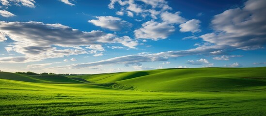 Obraz premium As the sun rose over the lush green landscape, the sky adorned with fluffy white clouds, the traveler marveled at the enchanting spring scene. Rows of trees and fields of vibrant green grass spread as