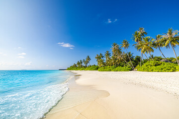 Beautiful tropical beach. Sea waves white sand, palm trees, turquoise ocean against sunny blue sky...