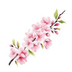 Fototapeta na wymiar spring cherry blossom branch with flowers and leaves watercolor paint