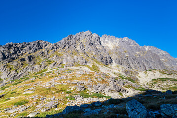 Fototapeta na wymiar Velicka dolina vaelly with peaks above in HIgh Tatras mountains in Slovakia