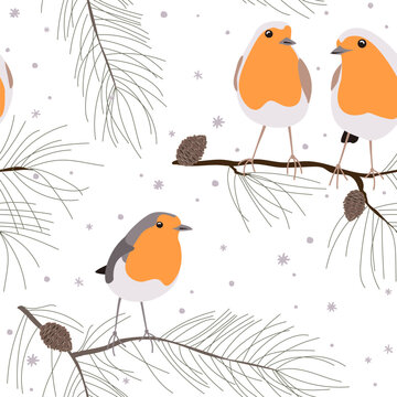 European robin bird sitting on pine branches seamless pattern, vector illustration. Christmas background.