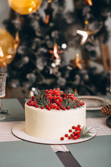Christmas cake decorated with red berries