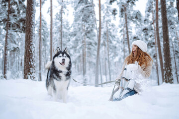 Beautiful young woman walks through the winter forest with her dog. A young woman with her pet on an adventure. Friendship concept, pets. Friendship between a woman and a dog. 