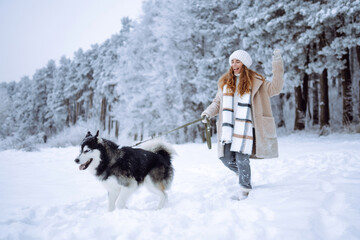 Beautiful young woman walks through the winter forest with her dog. A young woman with her pet on...