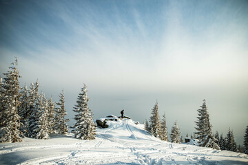 beautiful winter landscape with snowy fir trees