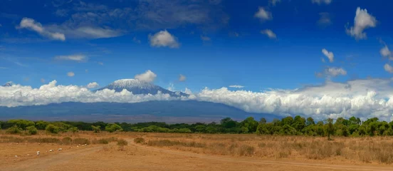 Stoff pro Meter Kilimandscharo kilimanjaro mountain africa tanzania kenya