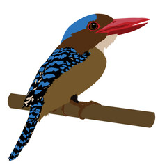 Banded kingfisher bird, male sitting on a branch. Isolated vector illustration on white background