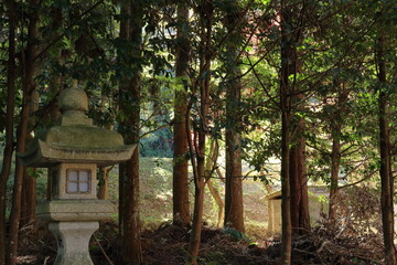 樹木に囲まれた秋の神社の灯籠
