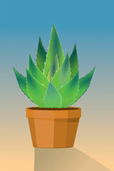 An illustration of an aloe vera potted plant with a gradient background