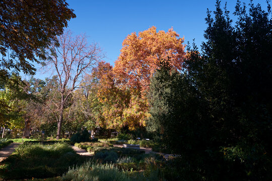 Droga, Natura, drzewa, zieleń, jesień, drewno, krajobraz, Sprężyny, park, Feuille, drewno, ślad, udać się, kraj, wiejski, Gras, odchodzi
