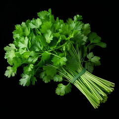 photo of coriander herb created with Generative Ai